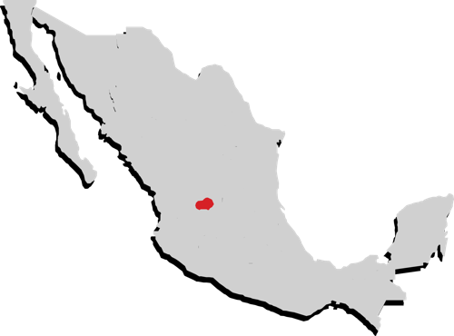 Aguascalientes Aguascalientes