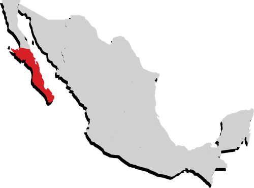 Baja California Sur Baja California Sur