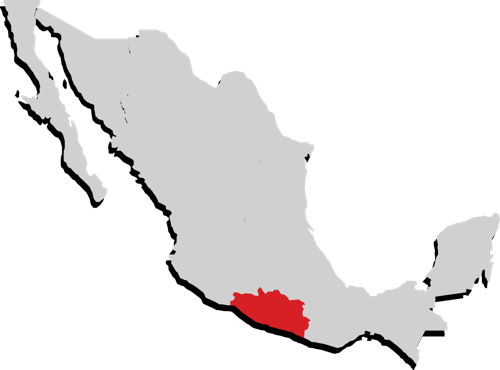 Guerrero Guerrero