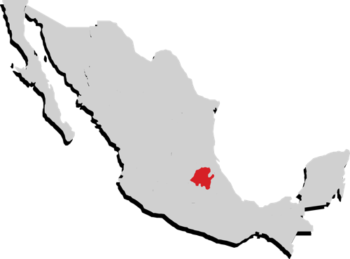 Hidalgo Hidalgo