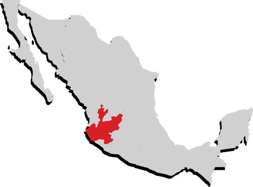 Jalisco Jalisco