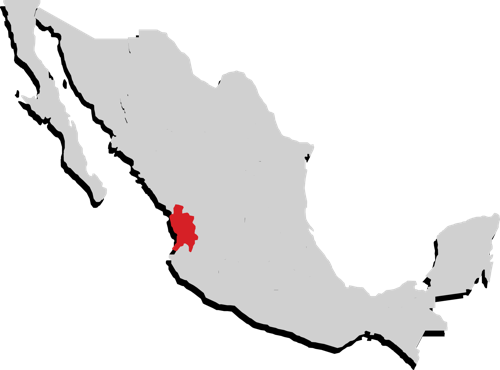 Nayarit Nayarit