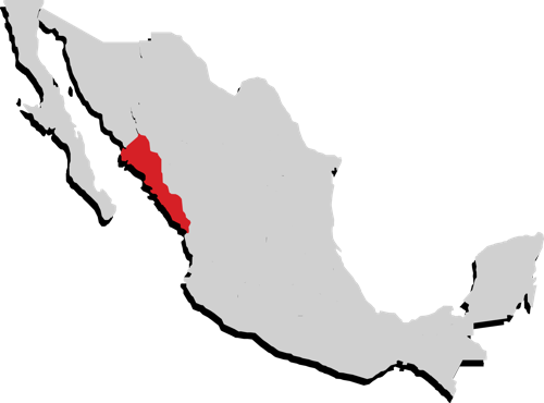 Sinaloa Sinaloa