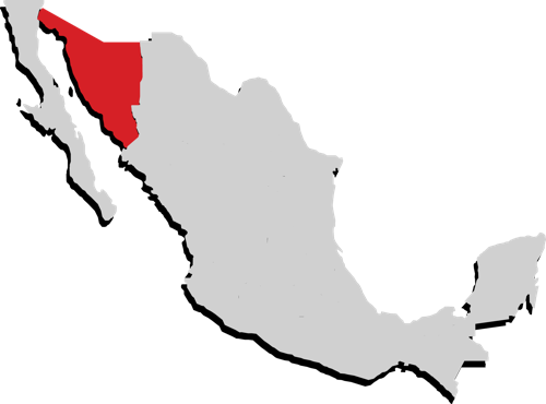Sonora Sonora