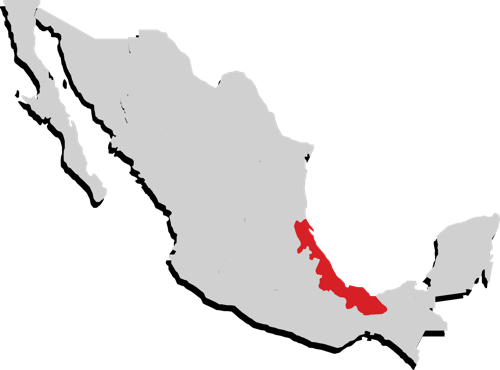 Veracruz Veracruz