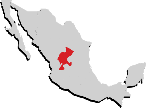 Zacatecas Zacatecas